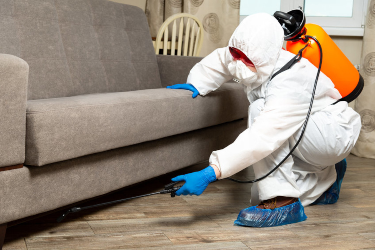 service pro antiparasitaire